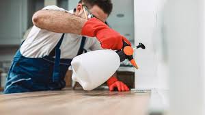 Best Real Estate Pest Inspections  in Satsuma, AL